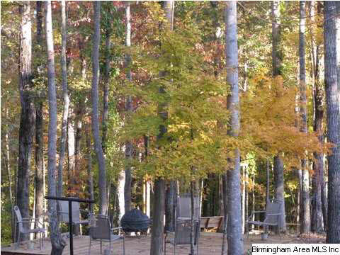 6925 Grey Hill Road West Blocton, AL 35184 - Photo 29 of 32