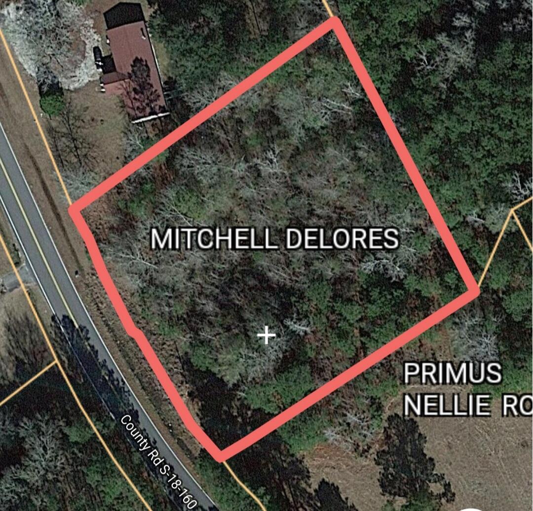 1ST County Rd S-18-160 St. George, SC 29477 - Photo 2 of 2 Screenshot_20220625-132830