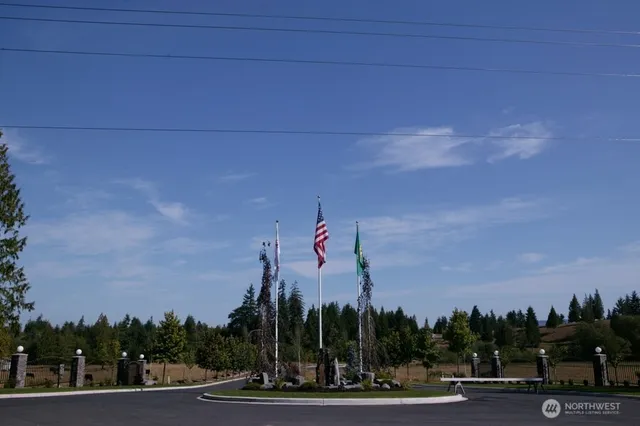 a view of a golf course with tall trees