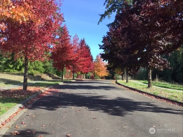a backyard of a house with trees and plants