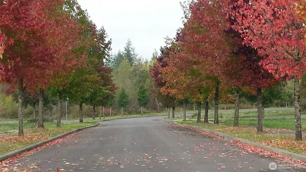 a view of a park