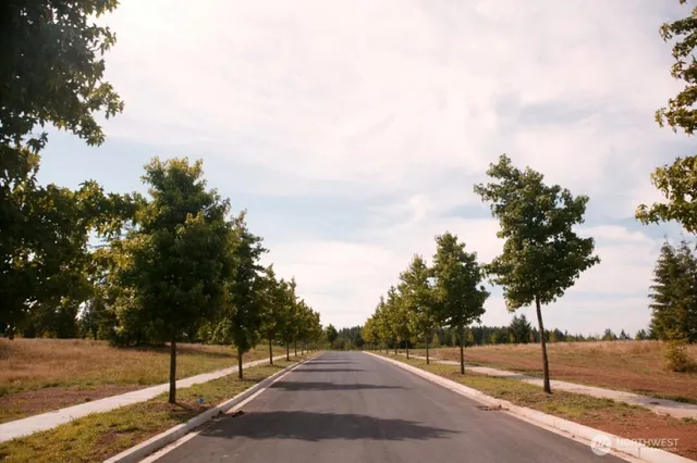 a view of yard with tree s