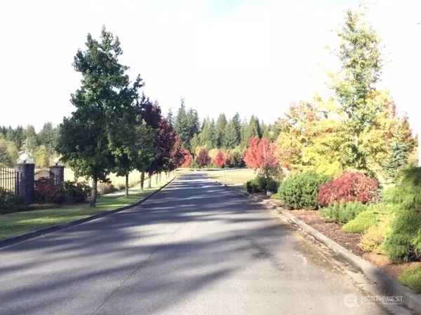 a view of a street view