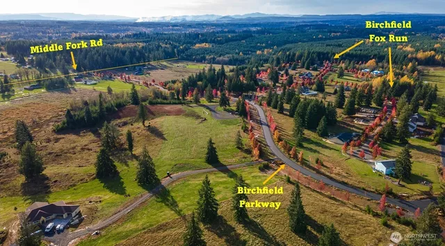 a view of a basket ball ground