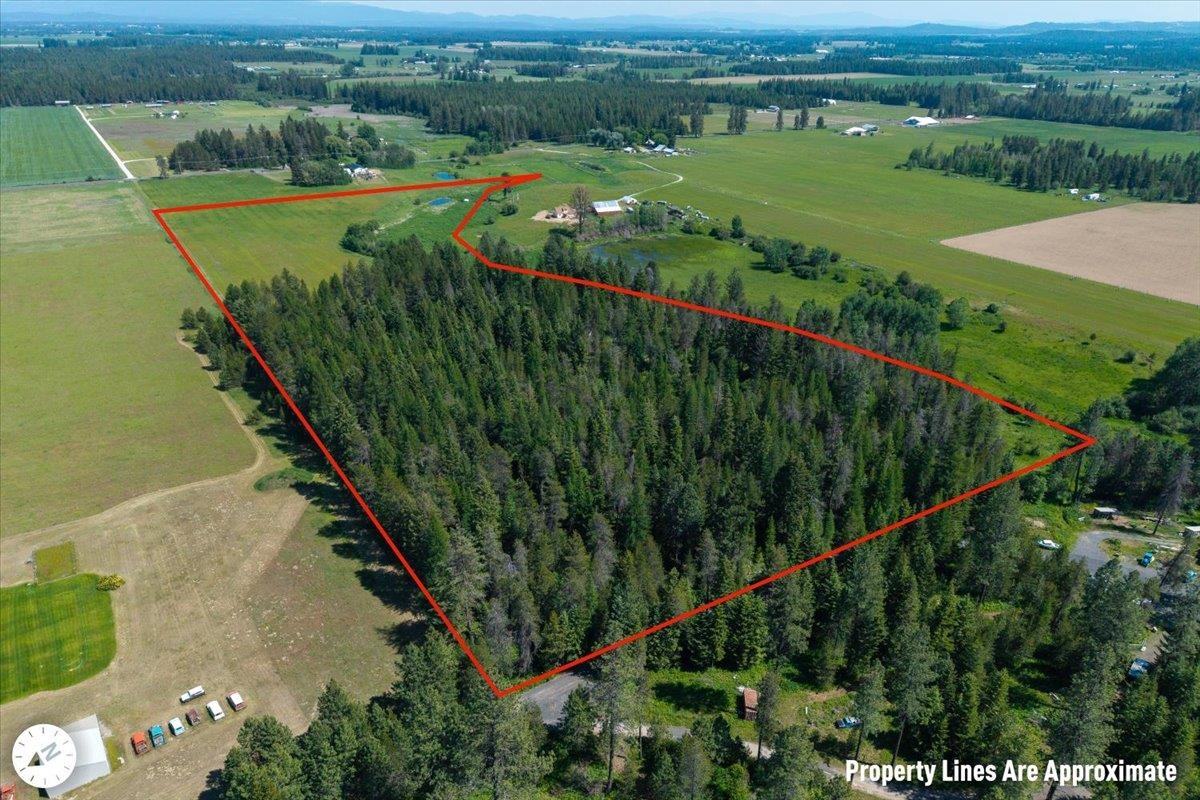 4668 Williams Valley Road Clayton, WA 99110 - Photo 8 of 44