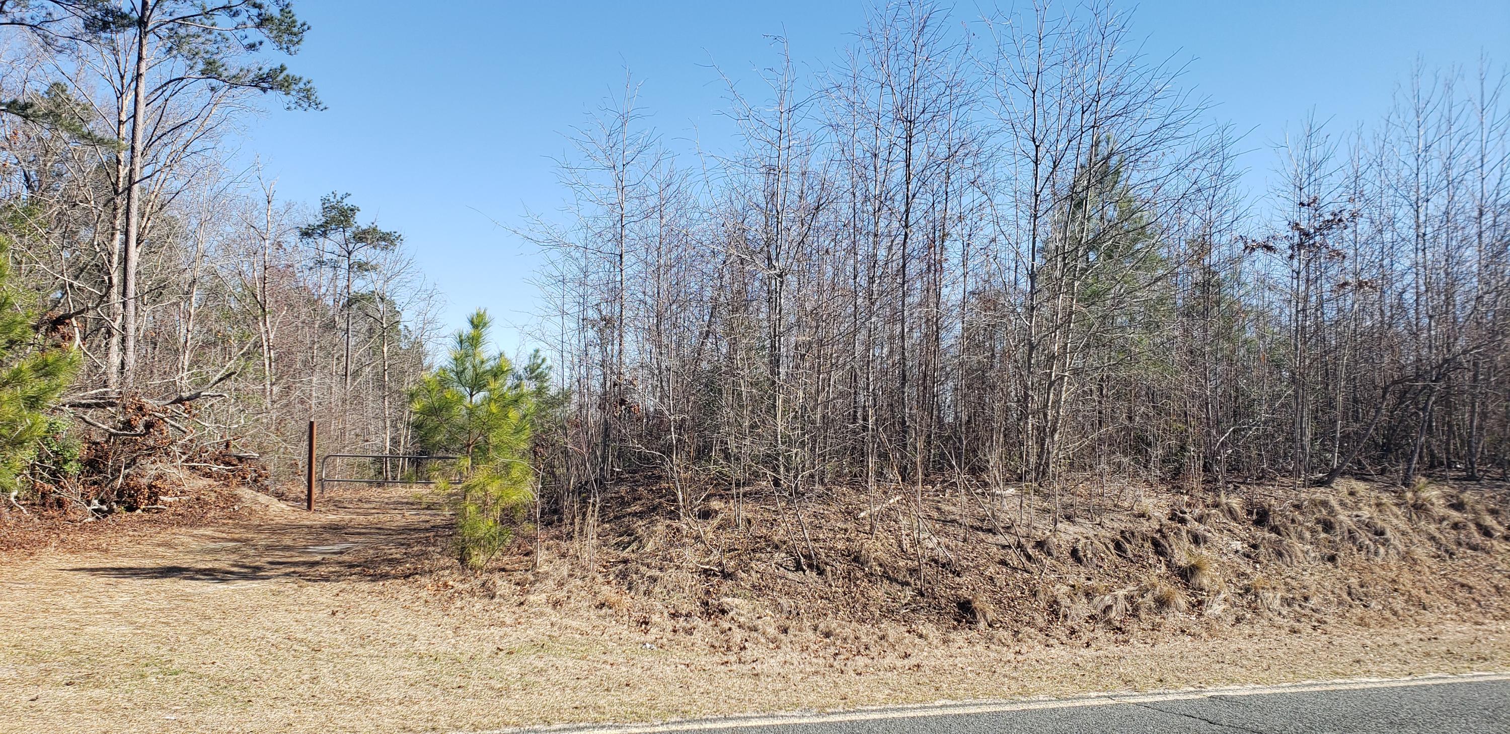 784 Pats Road Vass, NC 28394 - Photo 1 of 4 Front of land