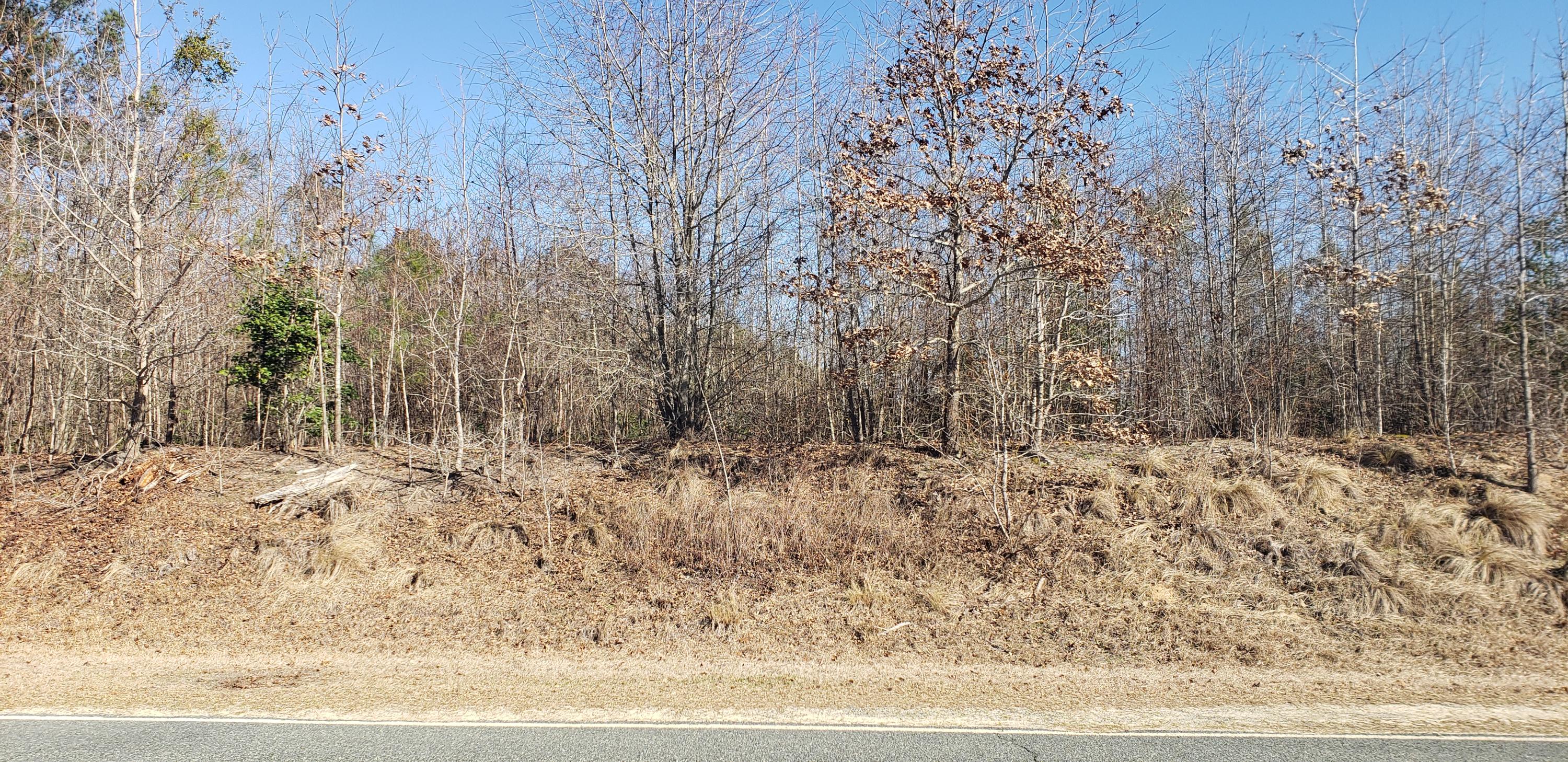 784 Pats Road Vass, NC 28394 - Photo 2 of 4 20190225_095358 (2)