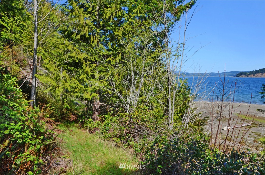 2510 Bee Mill Road Brinnon, WA 98320 - Photo 14 of 14