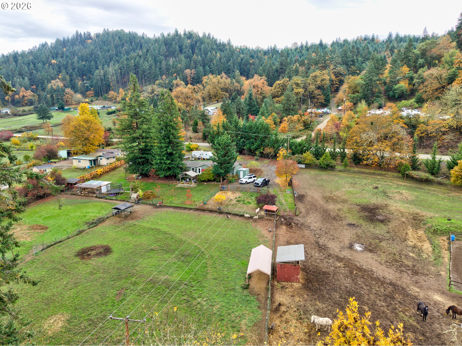 624 Willis Creek Road Winston, OR 97496 - Photo 45 of 48