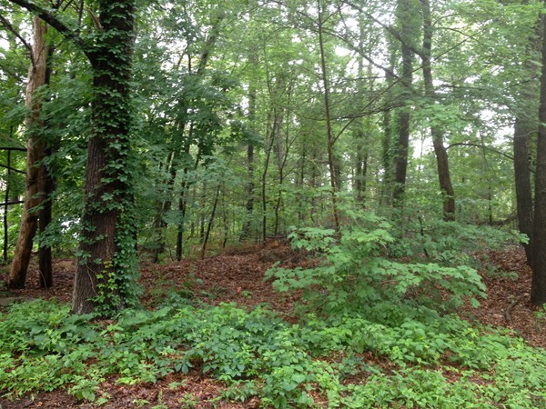 0 Ford Road Weymouth, MA 02190 - Photo 1 of 2 Gallery Image 1
