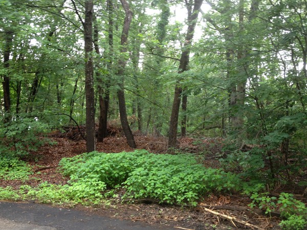 0 Ford Road Weymouth, MA 02190 - Photo 2 of 2 Gallery Image 2