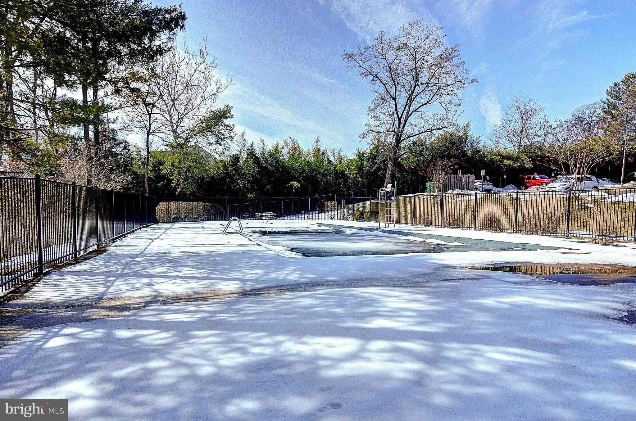 6260 Edsall Road, Unit 101 Alexandria, VA 22312 - Photo 29 of 30 Community pool
