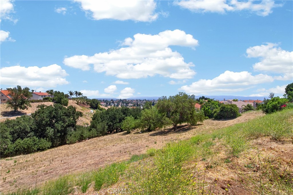 12056 Stone Gate Way Porter Ranch, CA 91326 - Photo 70 of 70