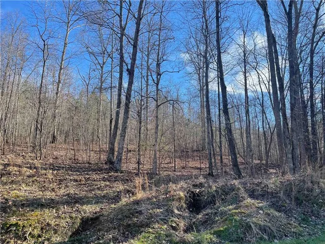 $340,000 | 0 Rock Fence Road Northwest, Adairsville, GA 30103