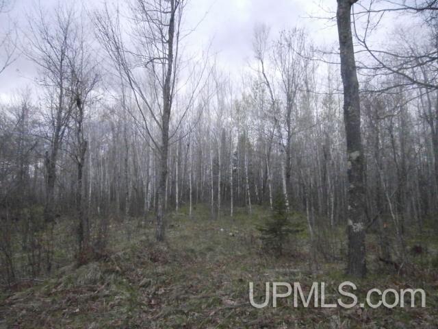 39.30-ac Armstrong Lake Road Crystal Falls, MI 49920 - Photo 12 of 24