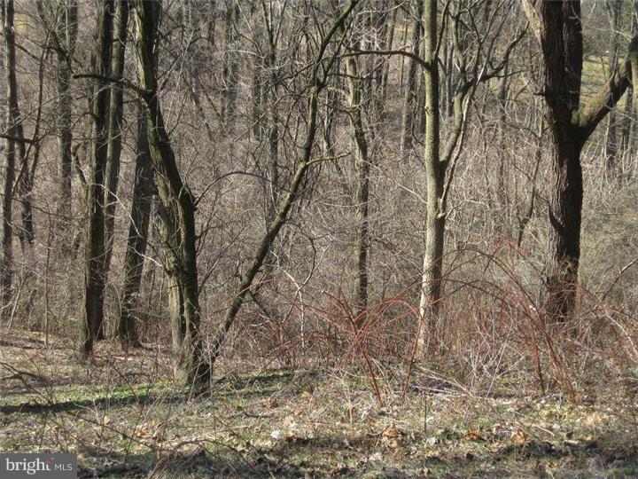 122-128 Fairview Road Penn Valley, PA 19072 - Photo 17 of 18