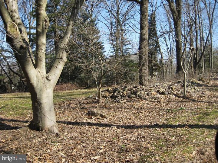 122-128 Fairview Road Penn Valley, PA 19072 - Photo 7 of 18