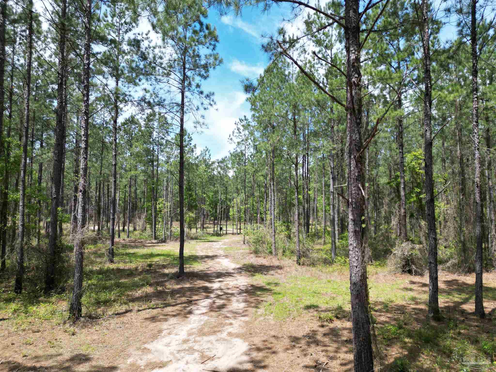 3500 Booneville Road Atmore, AL 36502 - Photo 29 of 33