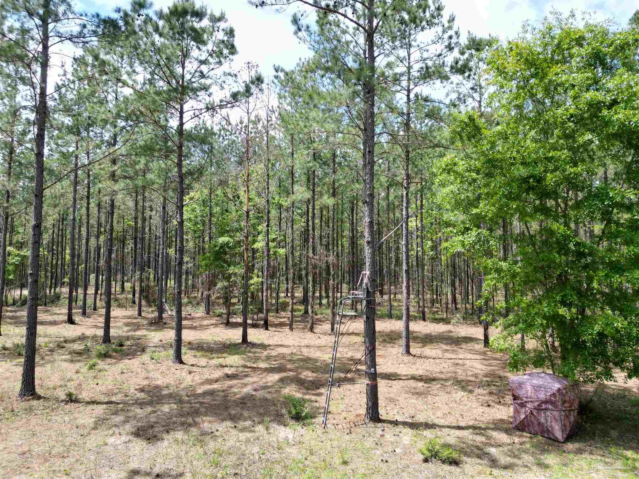 3500 Booneville Road Atmore, AL 36502 - Photo 4 of 33