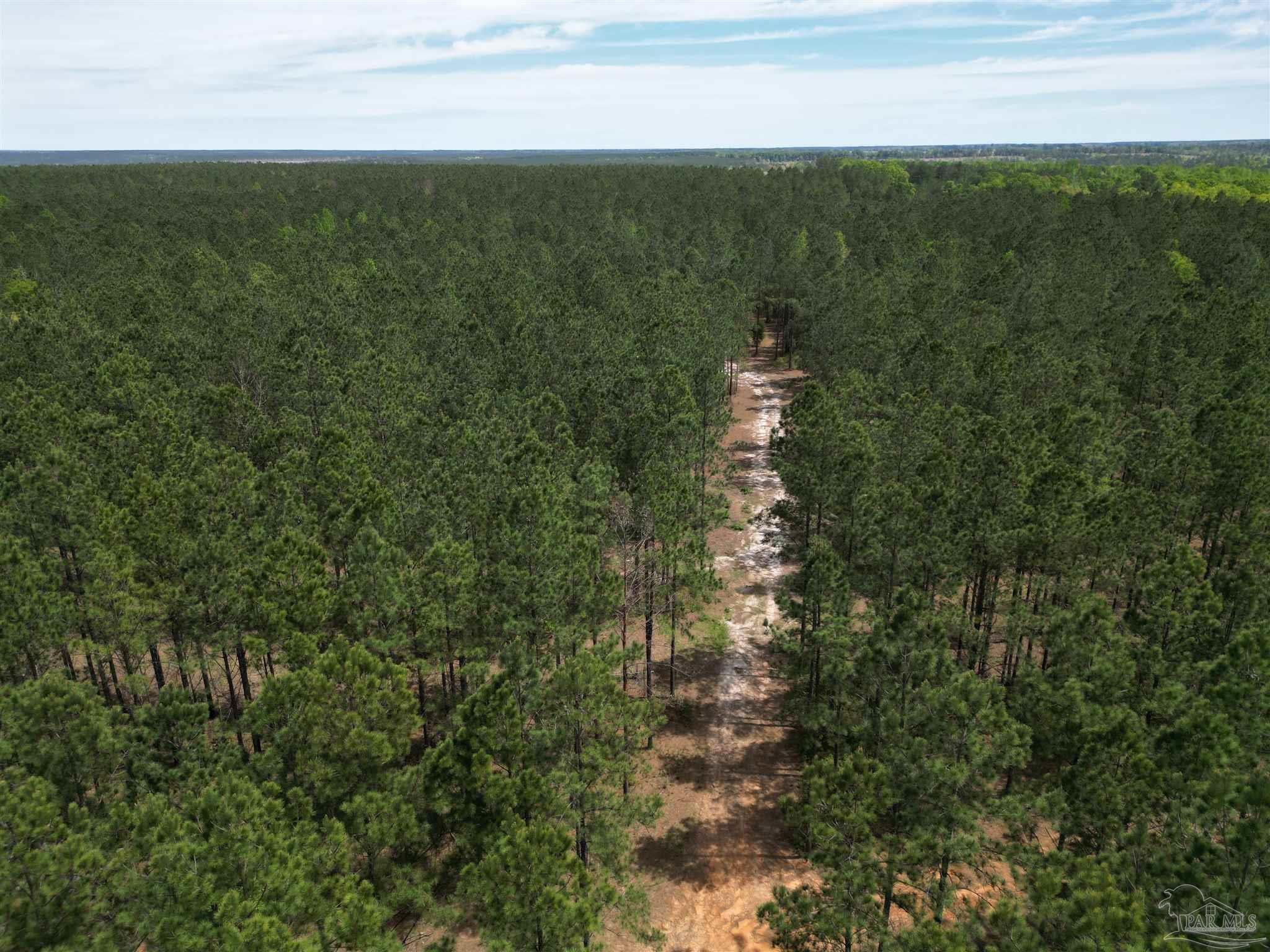 3500 Booneville Road Atmore, AL 36502 - Photo 6 of 33