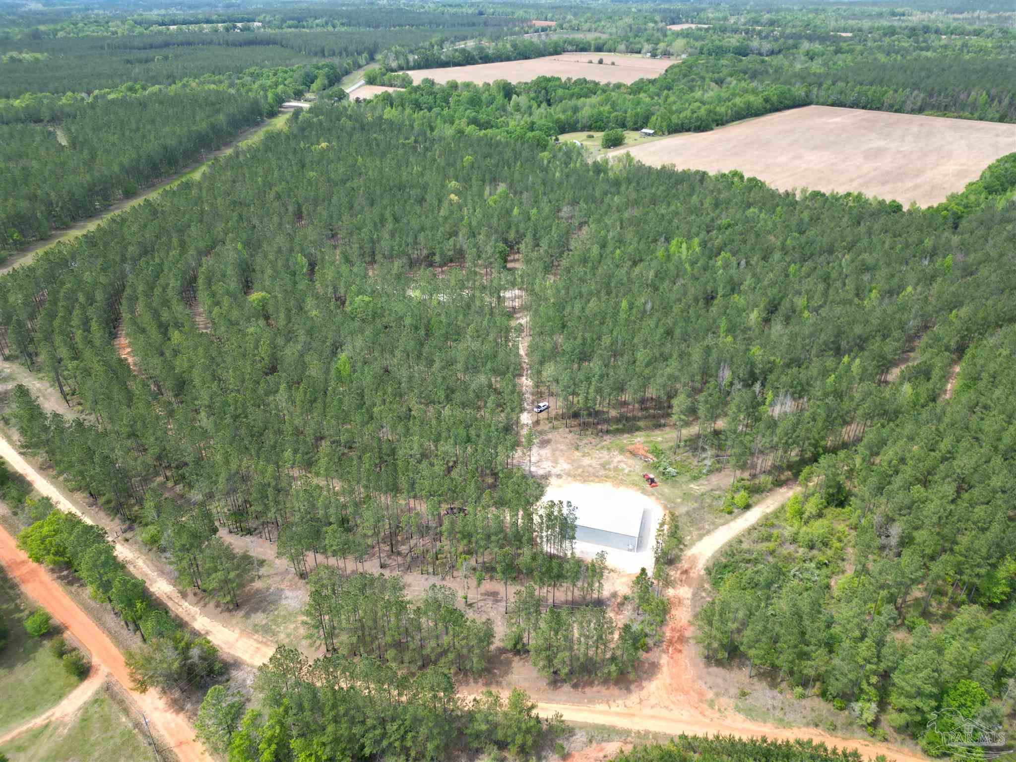 3500 Booneville Road Atmore, AL 36502 - Photo 9 of 33