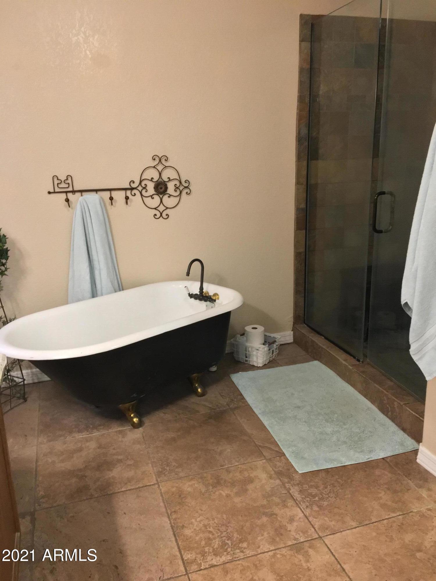437 North Riata Street Gilbert, AZ 85234 - Photo 16 of 35 IMG_6488