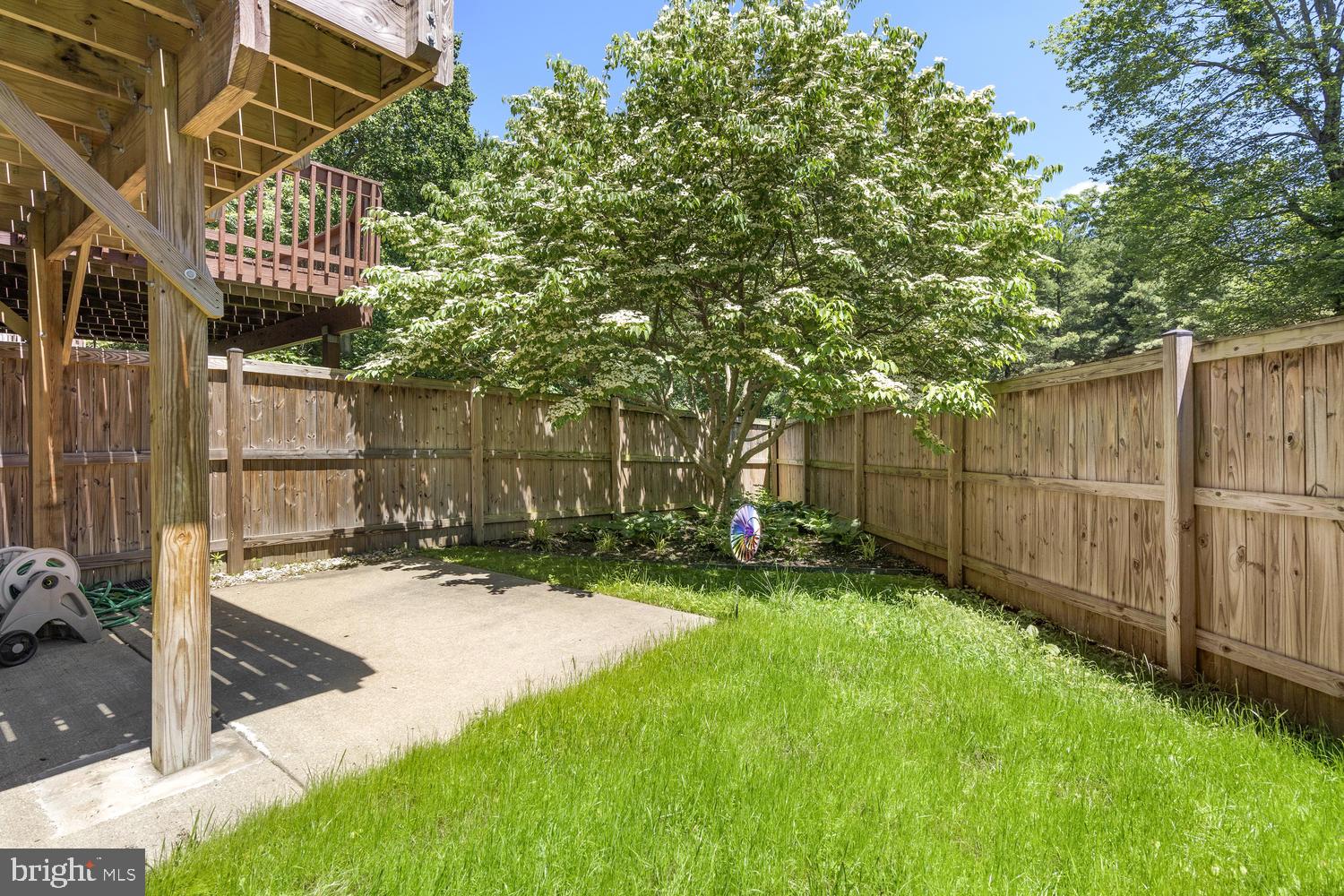 644 Concerto Lane Silver Spring, MD 20901 - Photo 17 of 17 Backyard