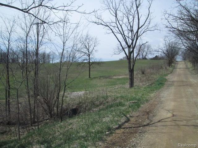 0 Bemis Road West Manchester, MI 48158 - Photo 7 of 8 pic 2.jpg