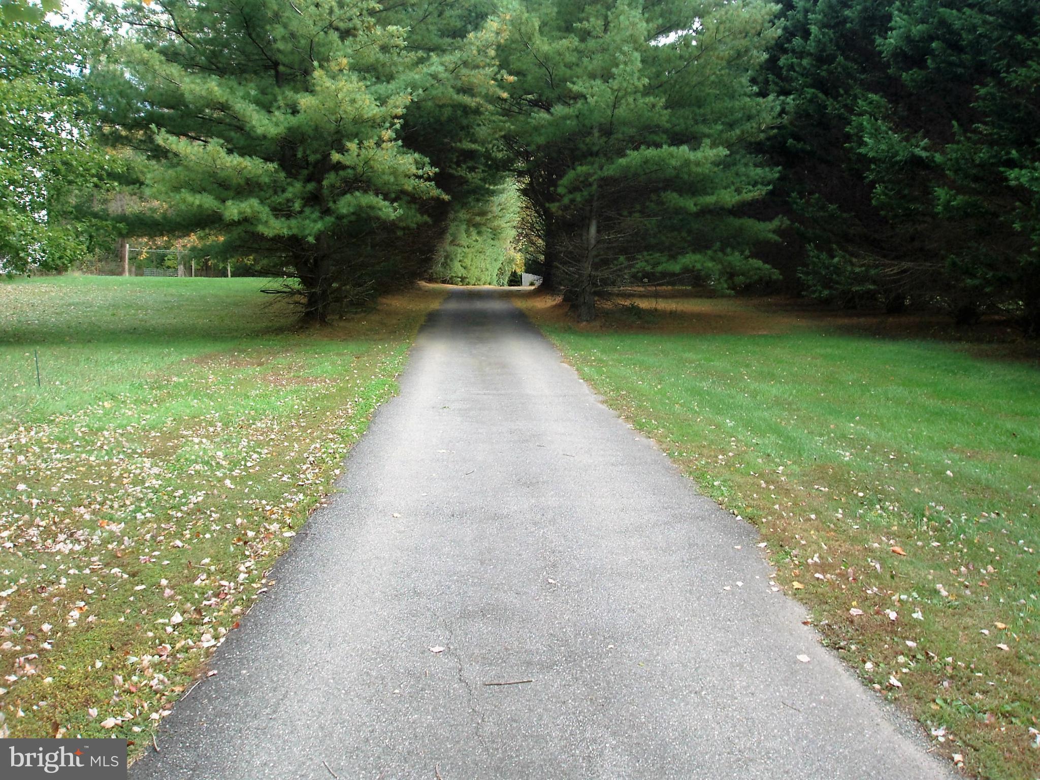 852 Warburton Road Elkton, MD 21921 - Photo 2 of 20 Driveway