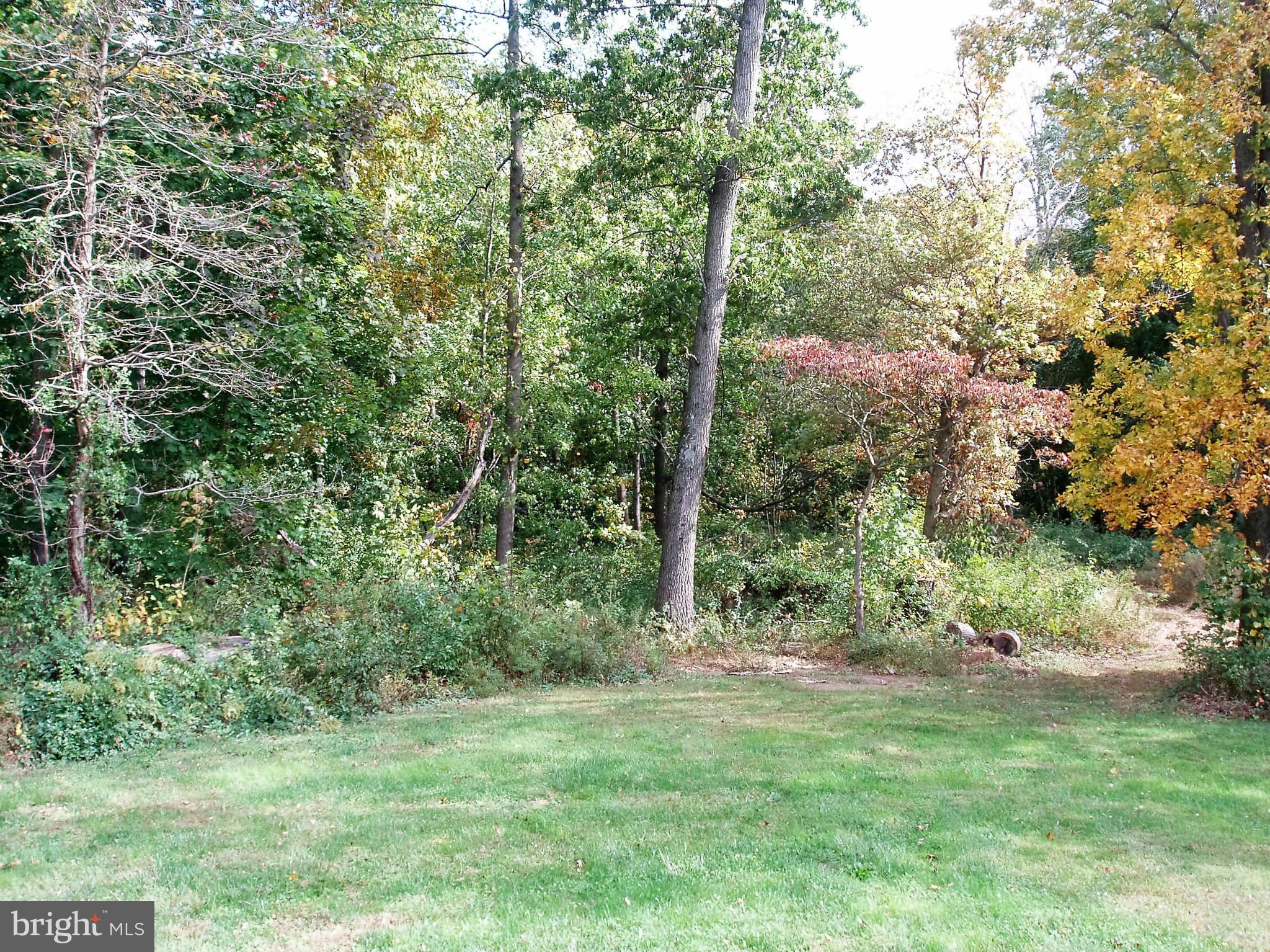 852 Warburton Road Elkton, MD 21921 - Photo 17 of 20 Back Yard