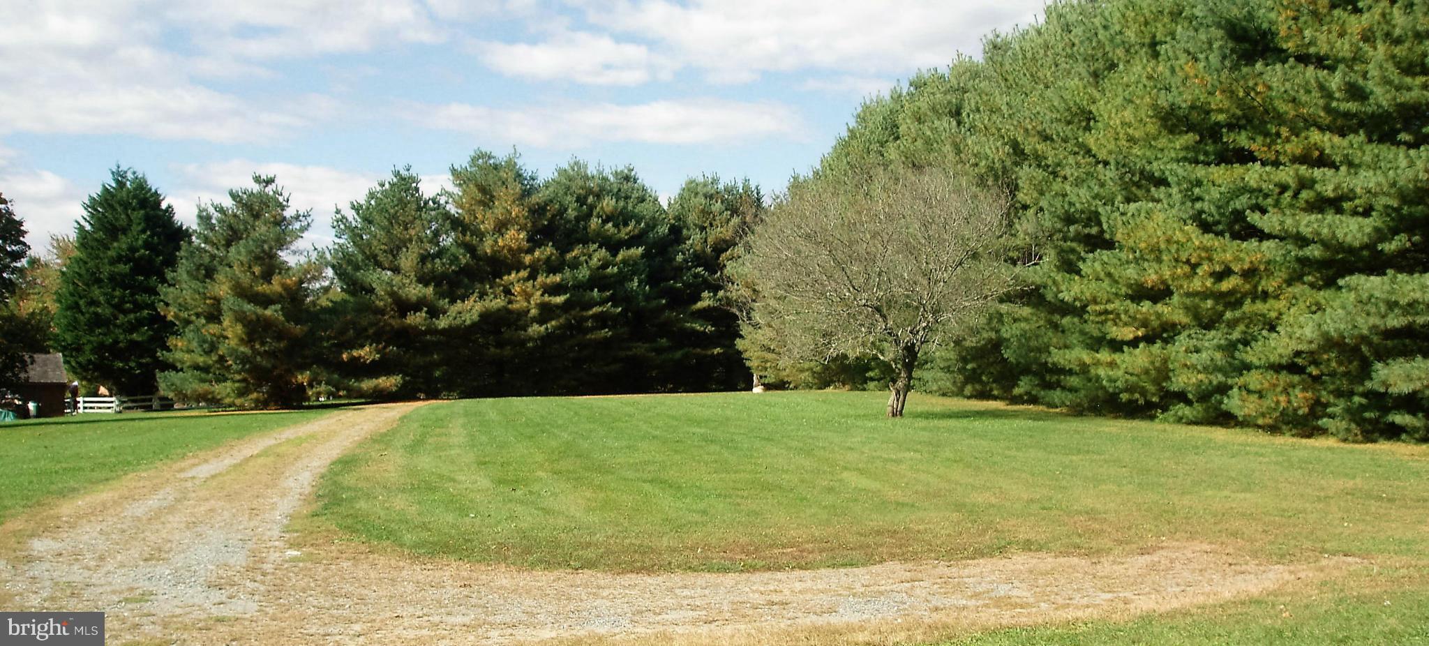 852 Warburton Road Elkton, MD 21921 - Photo 18 of 20 Front Yard