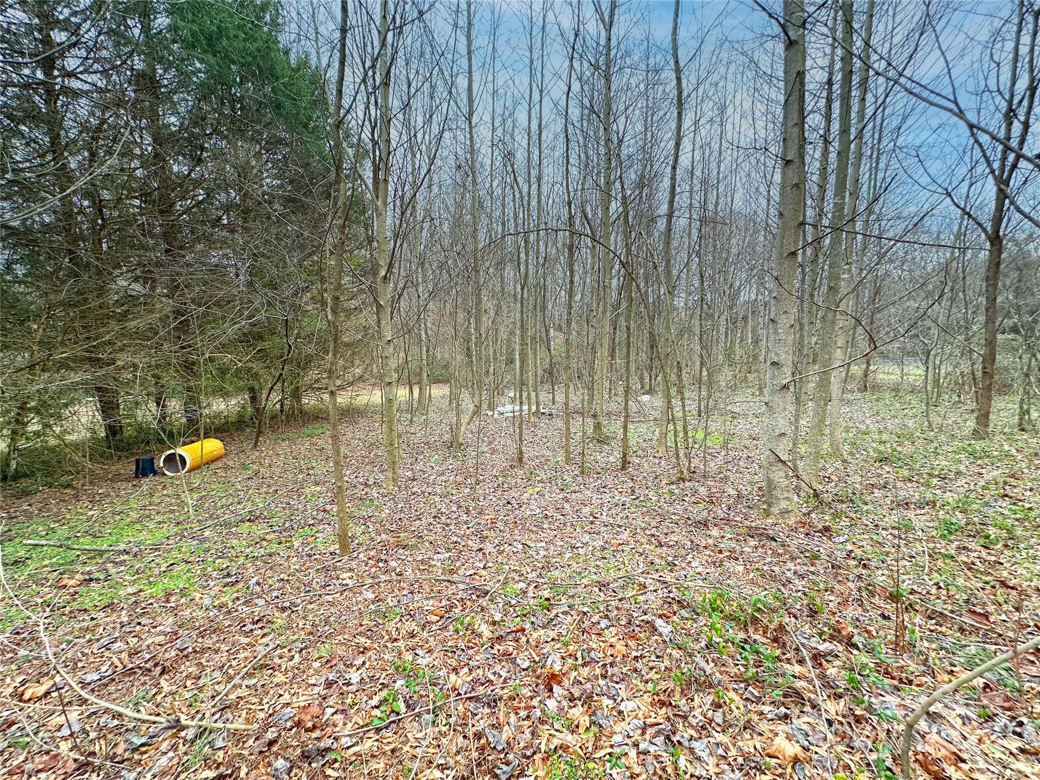 6111 Rest Home Road Claremont, NC 28610 - Photo 2 of 3 Gallery Image 2
