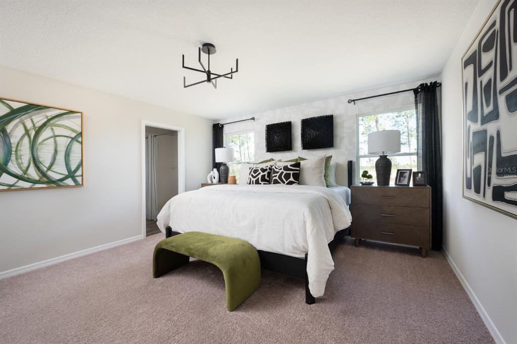 34718 Blossom Fall Path Dade City, FL 33525 - Photo 17 of 19