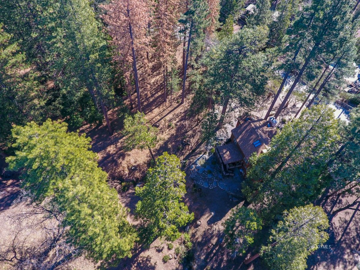 27777 Saunders Meadow Road Idyllwild, CA 92549 - Photo 54 of 55 Aerial #4
