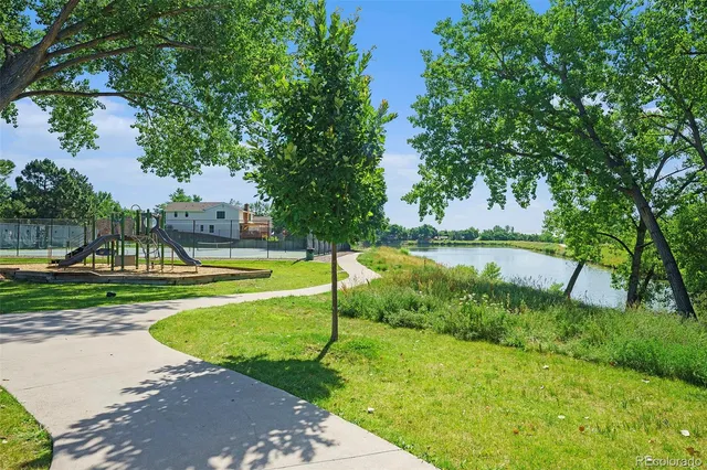a view of a park with large trees