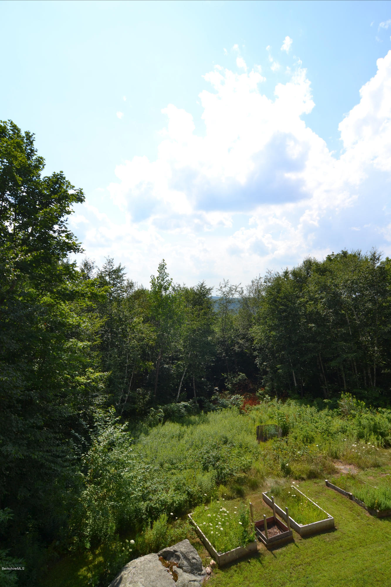 693 George Carter Road Becket, MA 01223 - Photo 29 of 36 a view of a backyard with plants and lake view