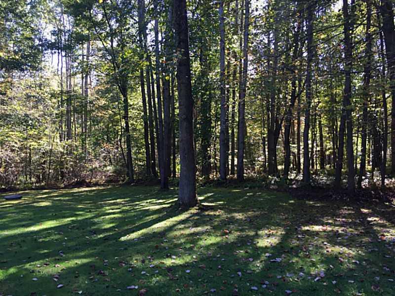 92 Hughes Road Indiana, PA 15701 - Photo 18 of 19 Yard/Garden.