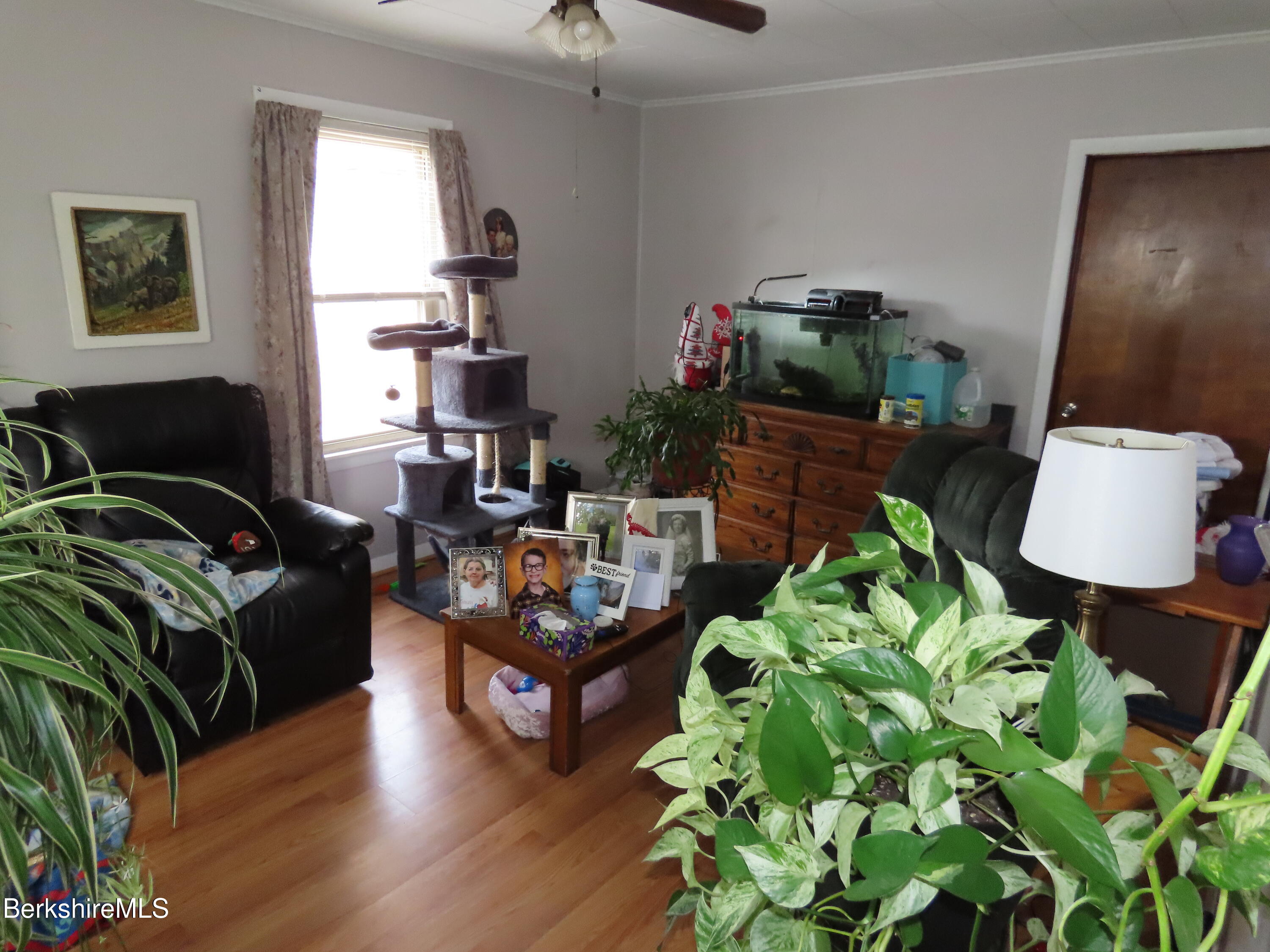 8 Cherry Street Adams, MA 01220 - Photo 31 of 50 Apt 3Living room