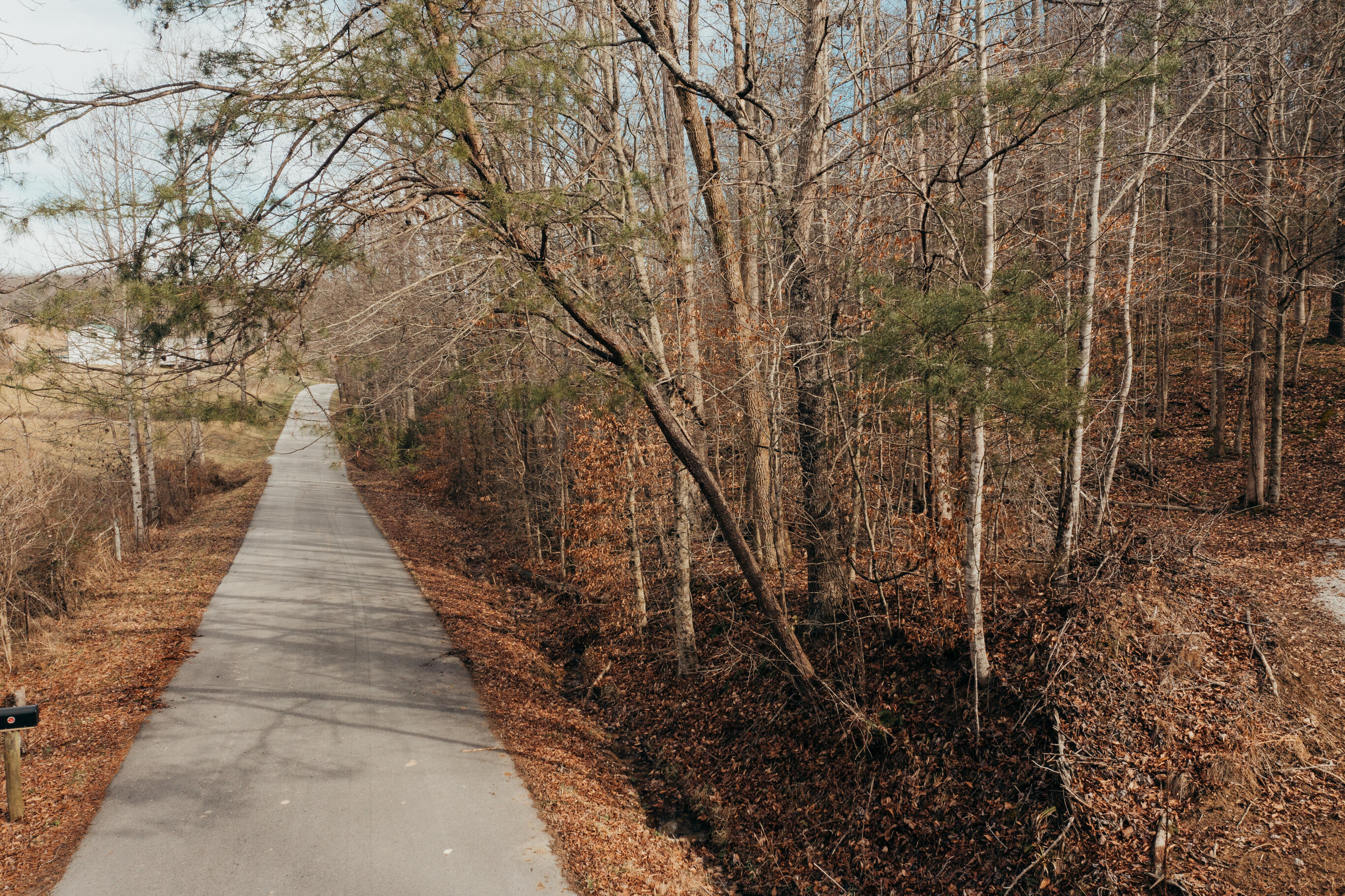 -tbd Whites Branch Road Wellington, KY 40387 - Photo 15 of 19 DJI_0888