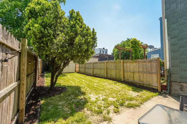a view of backyard with tree