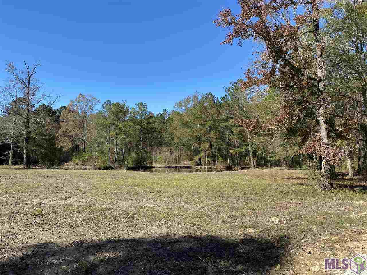 Jb-3-a-2 George White Road Holden, LA 70744 - Photo 7 of 8 Gallery Image 7