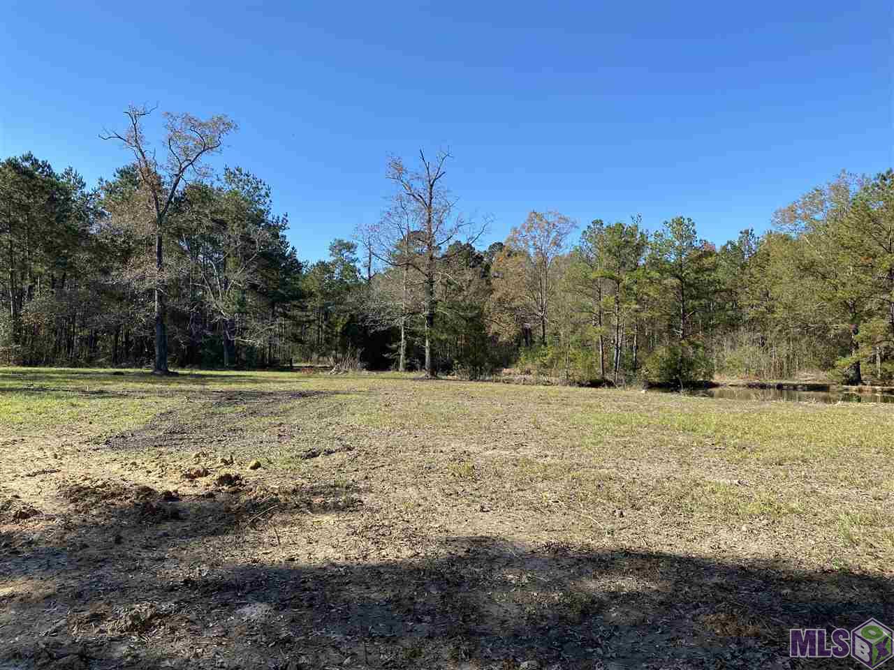 Jb-3-a-2 George White Road Holden, LA 70744 - Photo 8 of 8 Gallery Image 8