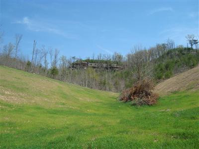 0 Mahaffey Holw Road Livingston, KY 40445 - Photo 8 of 8 Photo 8