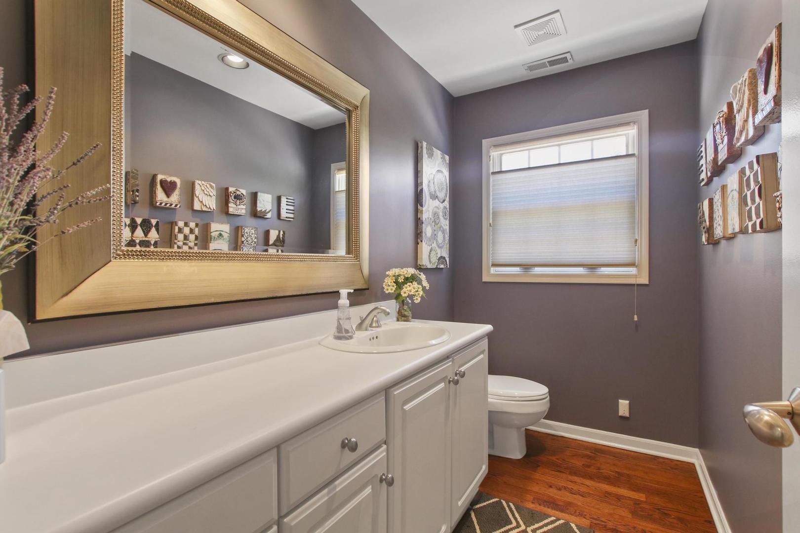 720 Becker Road Glenview, IL 60025 - Photo 12 of 44 a bathroom with a sink a toilet and a mirror