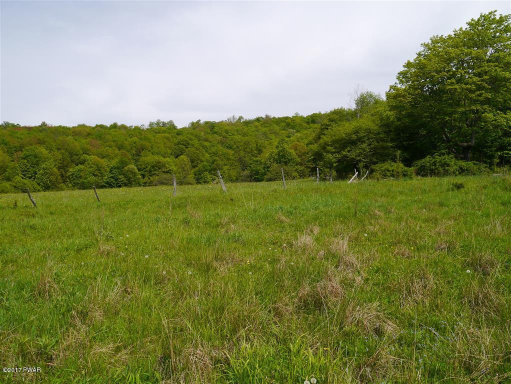 1252 Scott Center Road Susquehanna, PA 18847 - Photo 29 of 34 Fields