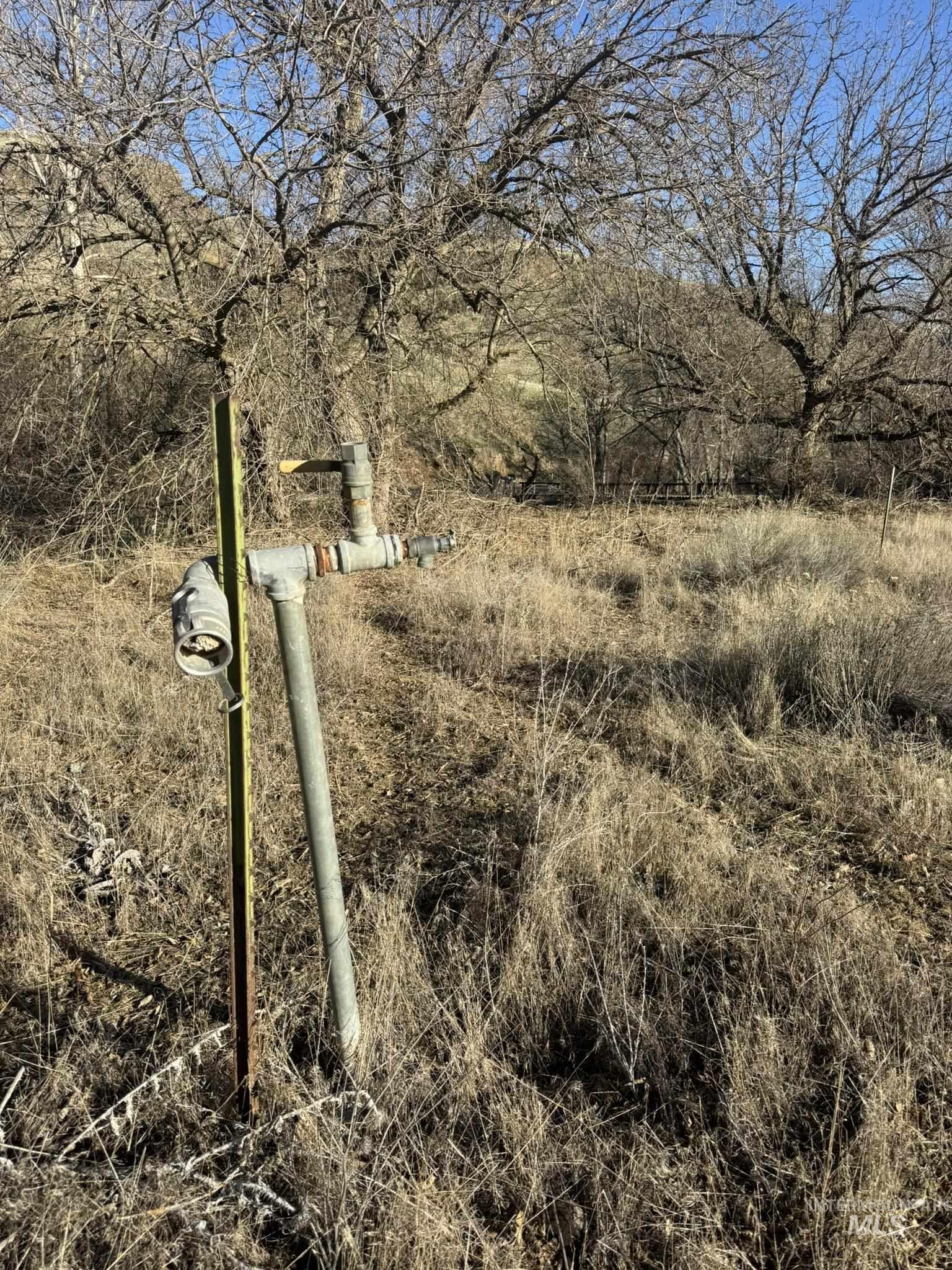 8047 Asotin Creek Road Asotin, WA 99402 - Photo 13 of 36 Exterior view
