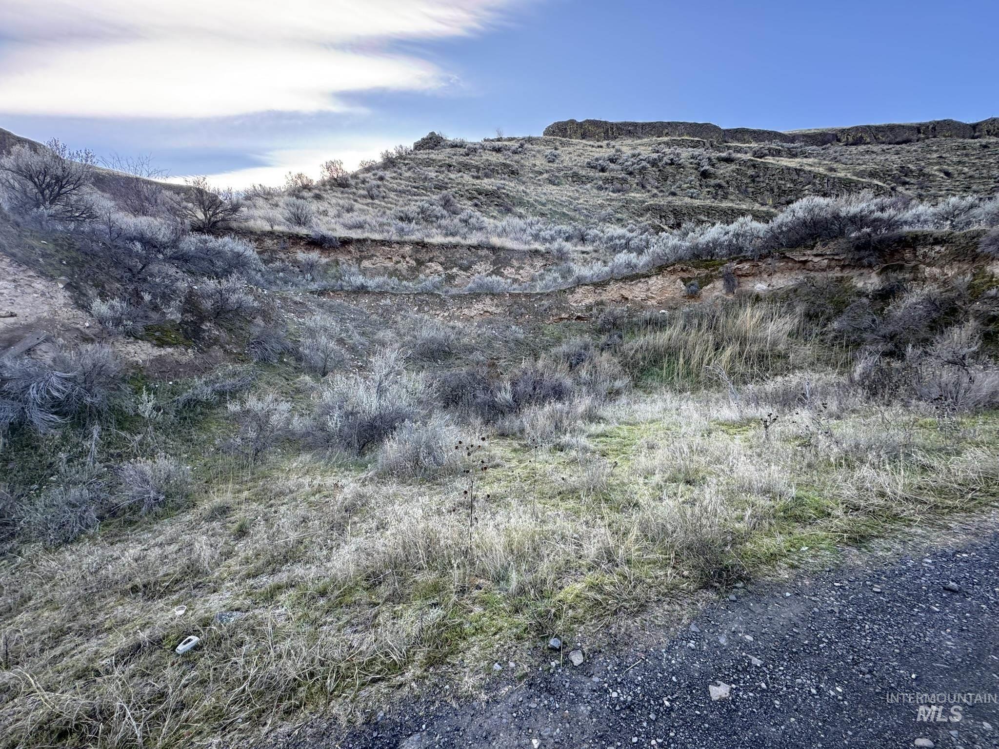 8047 Asotin Creek Road Asotin, WA 99402 - Photo 25 of 36 View of mountain background