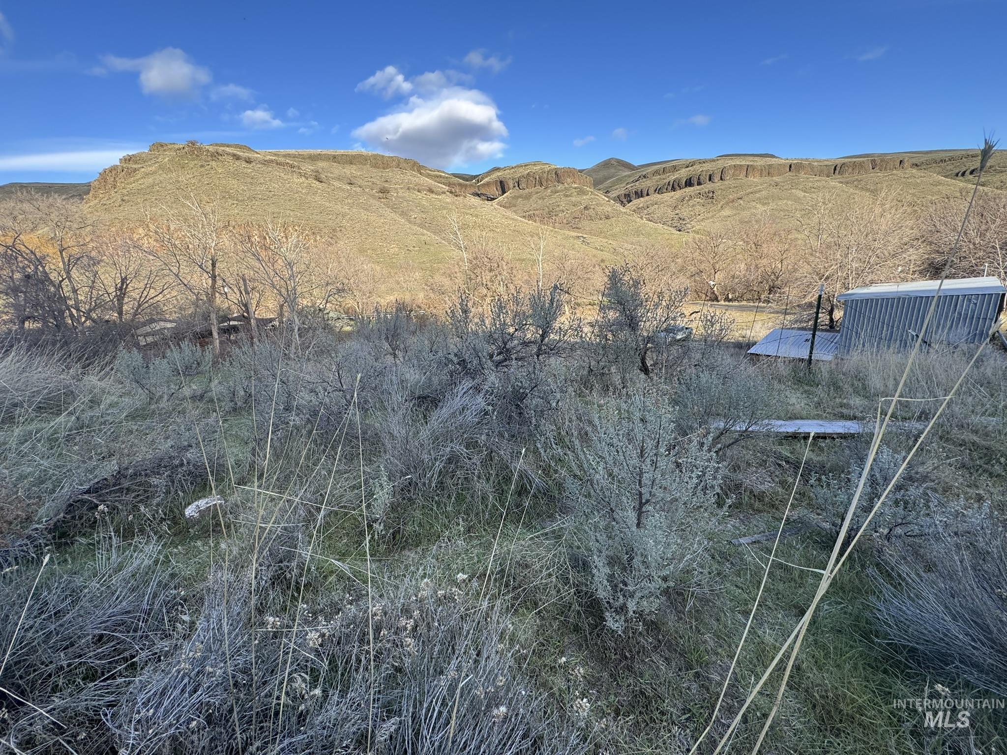 8047 Asotin Creek Road Asotin, WA 99402 - Photo 29 of 36 View of mountain background