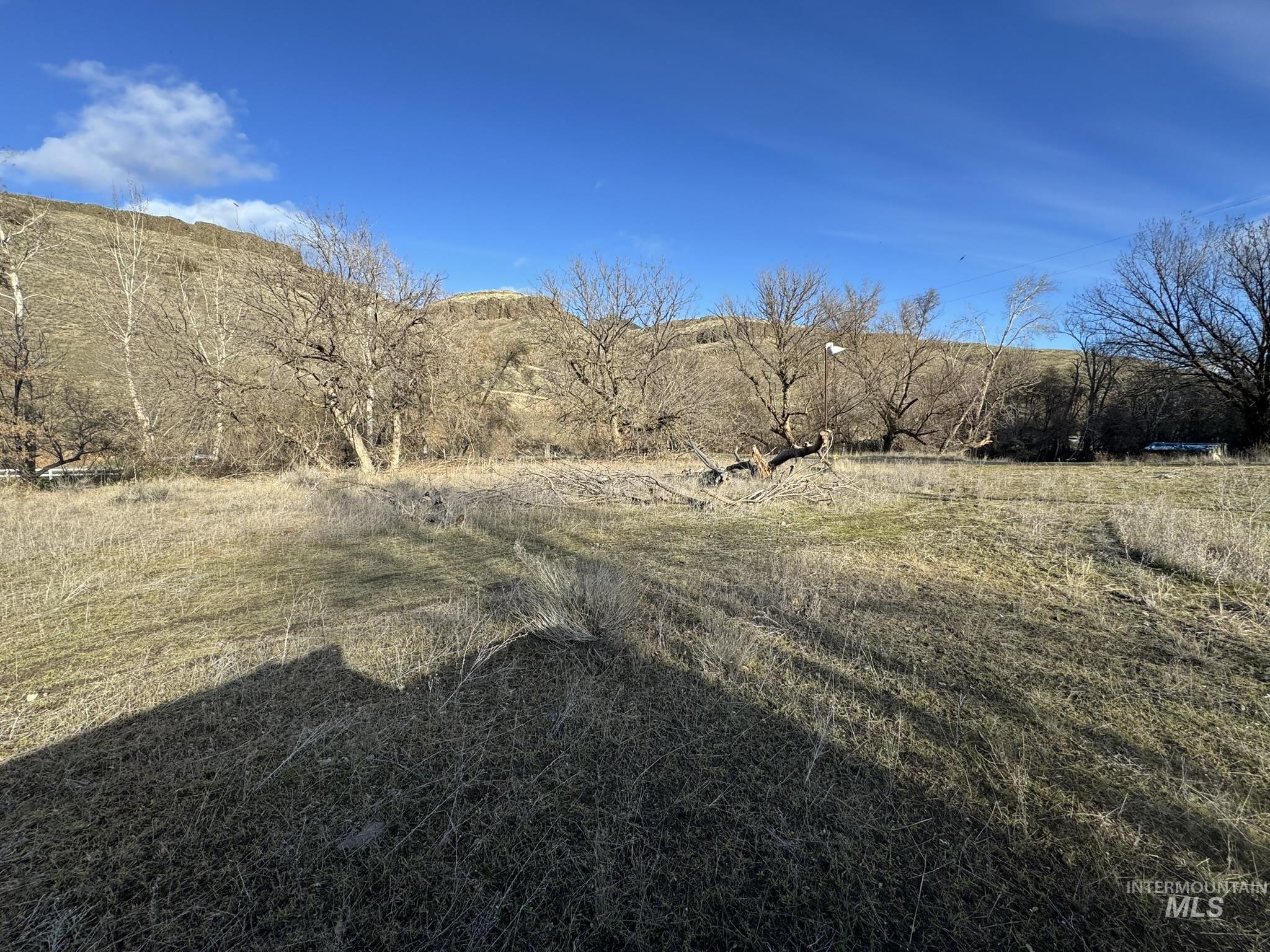 8047 Asotin Creek Road Asotin, WA 99402 - Photo 34 of 36 View of yard with a view of countryside