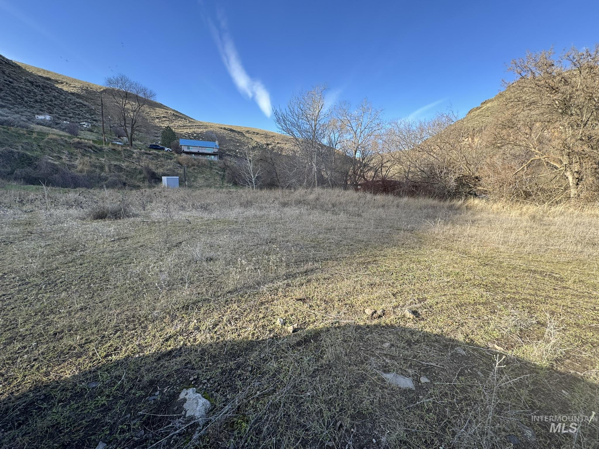 8047 Asotin Creek Road Asotin, WA 99402 - Photo 35 of 36 View of yard